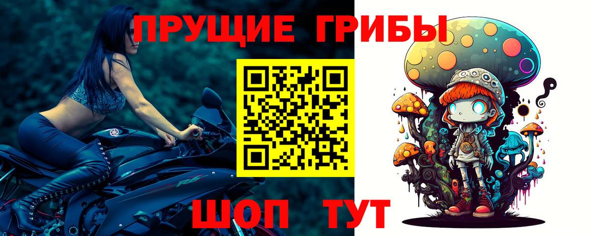 Галлюциногенные грибы GOLDEN TEACHER Сыктывкар
