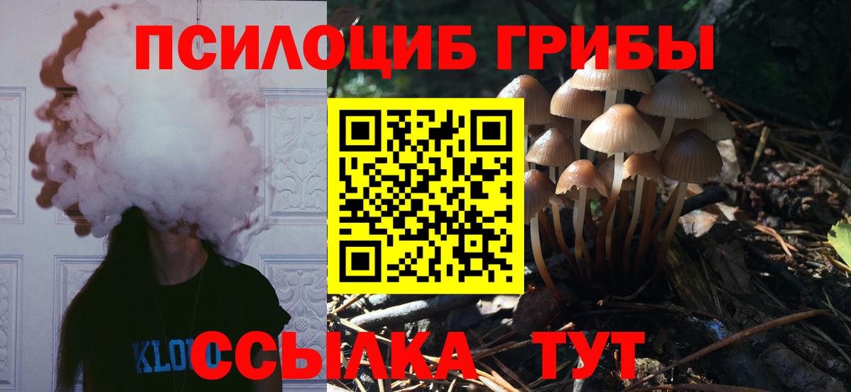 Псилоцибиновые грибы Psilocybe  Галлюциногенные грибы мицелий  Вход с VPN  Сыктывкар 